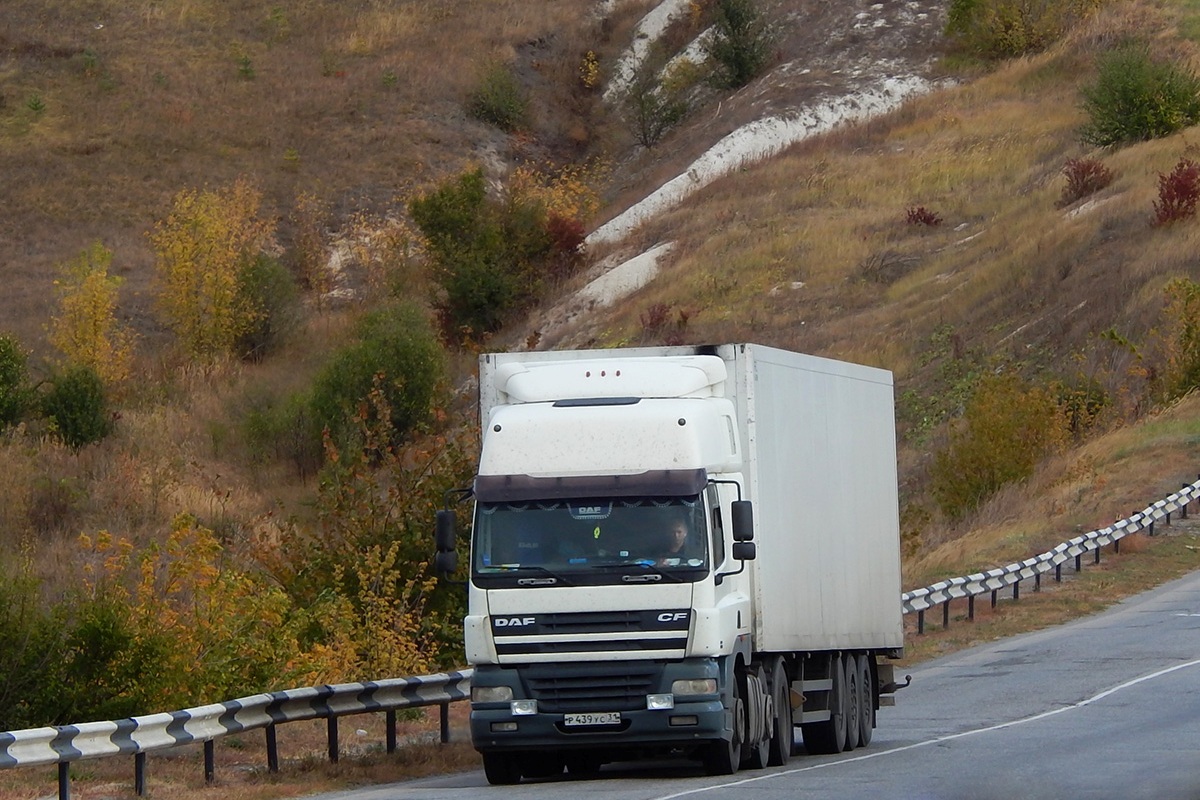 Белгородская область, № Р 439 УС 31 — DAF CF85 FTG