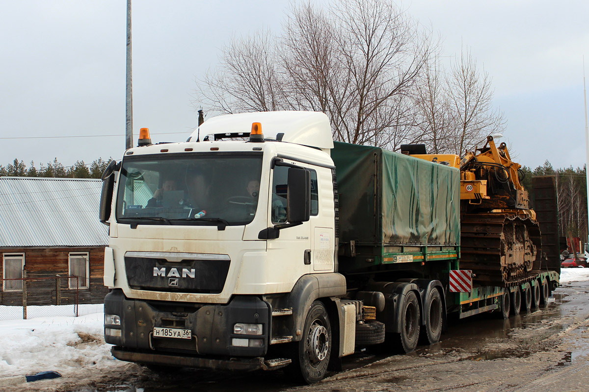 Воронежская область, № Н 185 УА 36 — MAN TGS 33.480