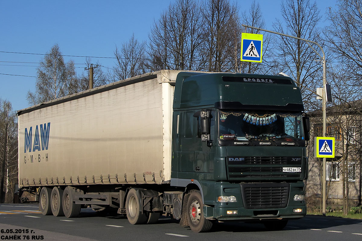 Белгородская область, № Н 482 ВК 31 — DAF XF95 FT
