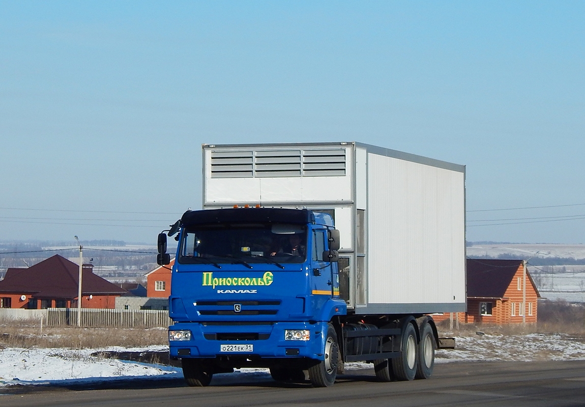 Белгородская область, № О 221 ЕК 31 — КамАЗ-65117-A4(23)