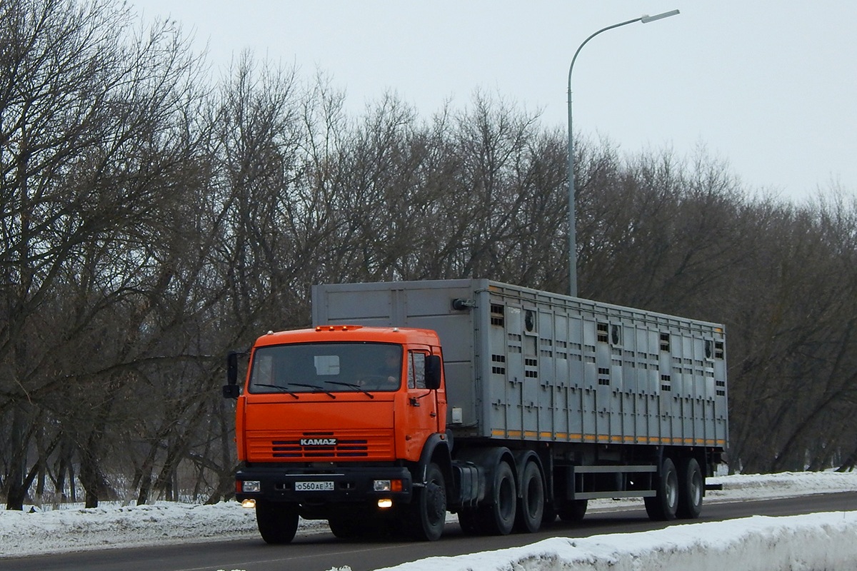 Белгородская область, № О 560 АЕ 31 — КамАЗ-54115-15 [54115R]