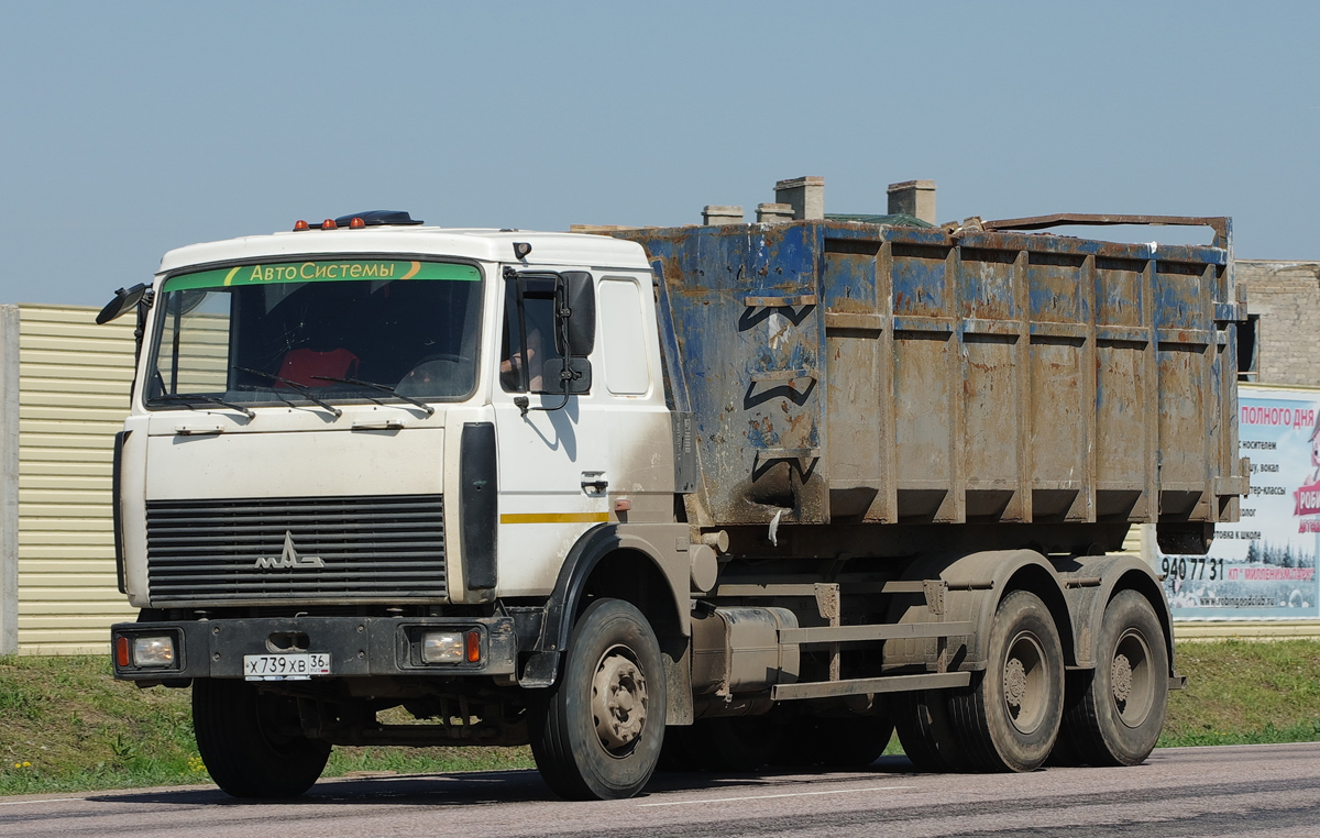 Воронежская область, № Х 739 ХВ 36 — МАЗ-6303A5