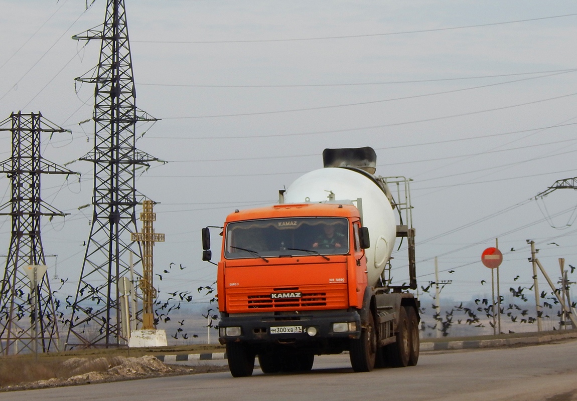 Белгородская область, № М 300 ХВ 31 — КамАЗ-65115-D3(97)