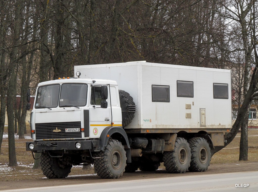 Витебская область, № АВ 6147-2 — МАЗ-631705