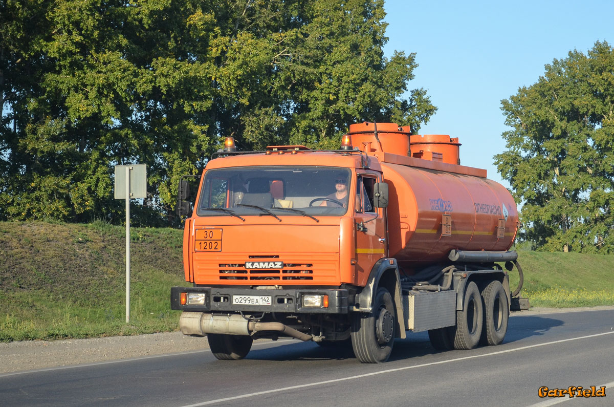 Кемеровская область, № О 299 ЕА 142 — КамАЗ-65115-N3(78)