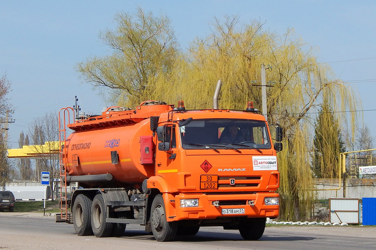 Белгородская область, № О 318 АМ 31 — КамАЗ-65115-A4(23)