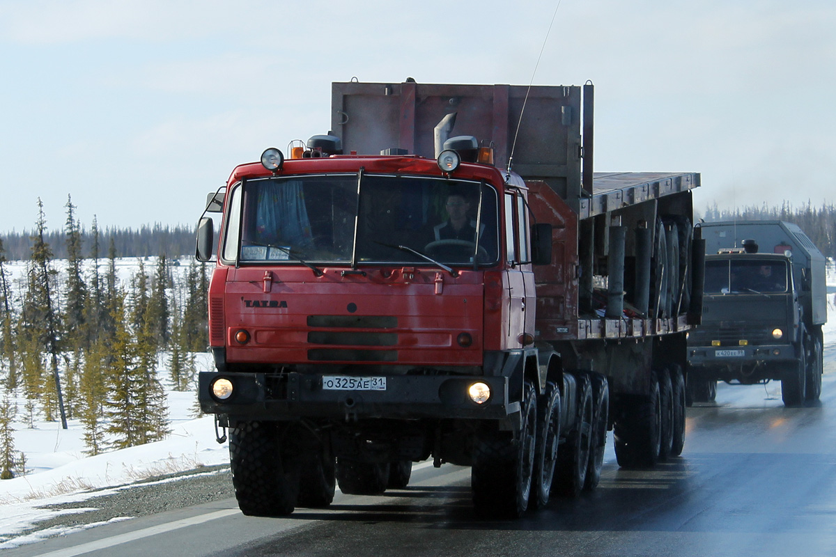 Белгородская область, № О 325 АЕ 31 — Tatra 815 TerrNo1-280R84