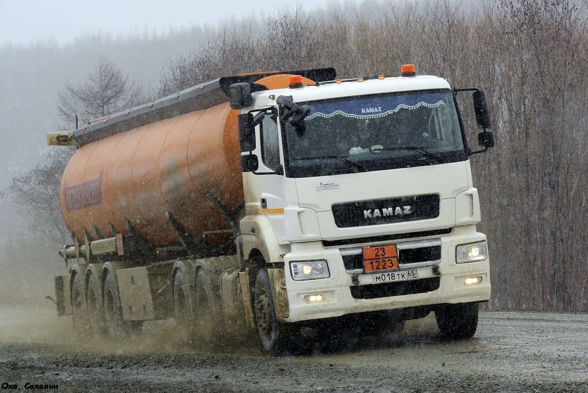 Сахалинская область, № М 018 ТК 65 — КамАЗ-65206-T5(68)