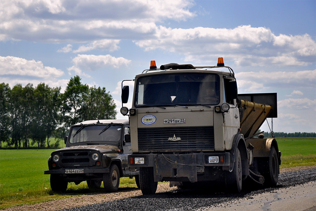 Алтайский край, № М 291 ВК 22 — МАЗ-5337 [533700]