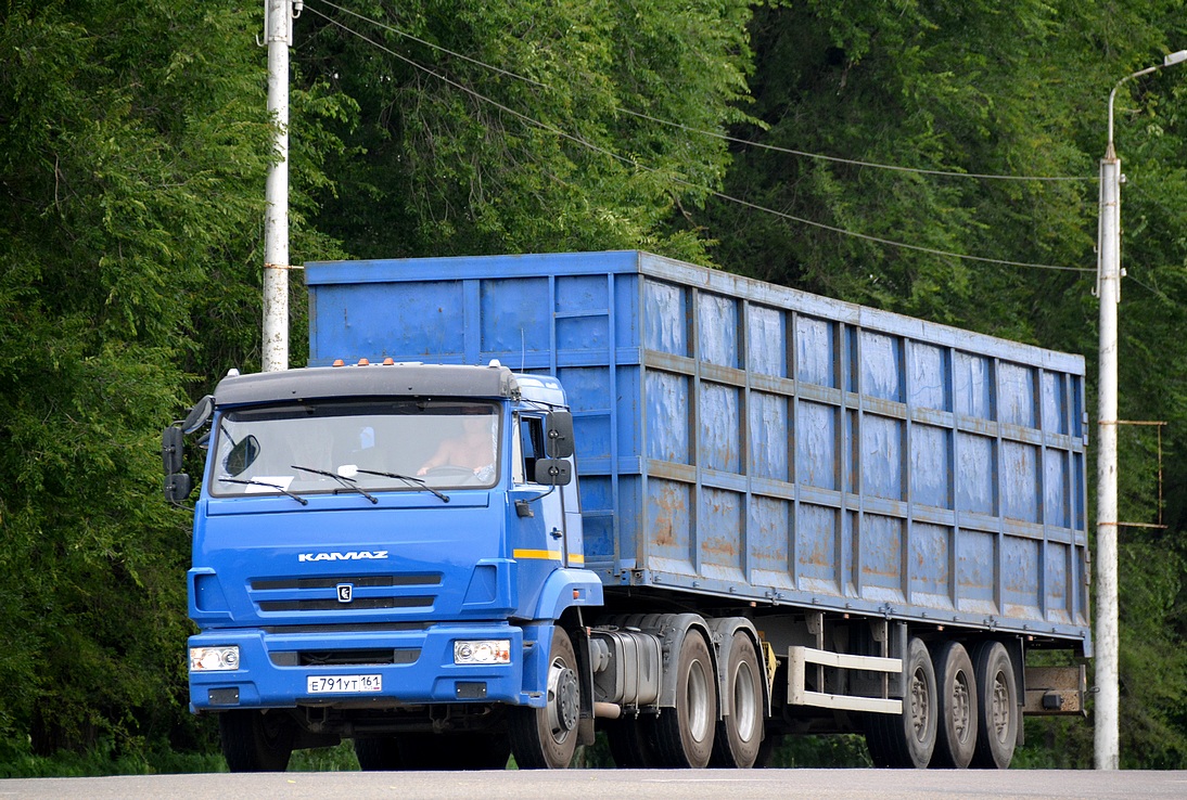 Ростовская область, № Е 791 УТ 161 — КамАЗ-65116-A4(23)