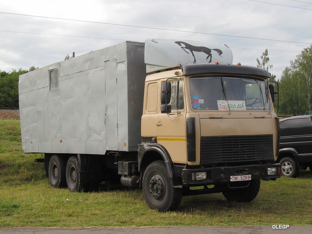 Могилёвская область, № ТМ 5269 — МАЗ-6303 (общая модель)