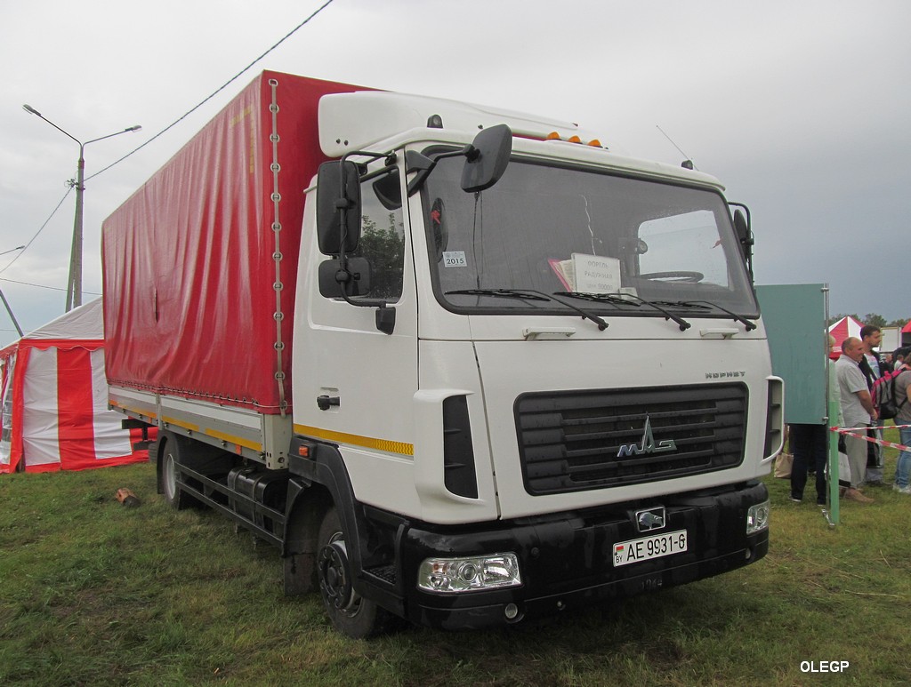 Могилёвская область, № АЕ 9931-6 — МАЗ-437143