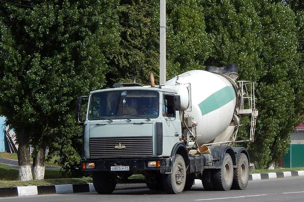Белгородская область, № О 803 СР 31 — МАЗ-630303