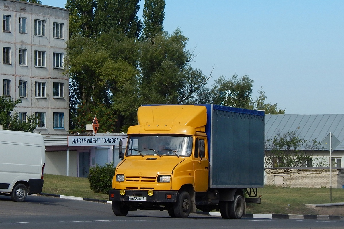 Белгородская область, № Н 636 ВУ 31 — ЗИЛ-5301АО "Бычок"