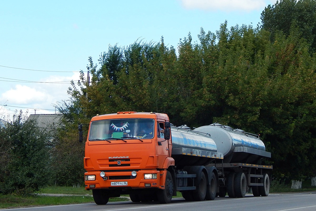 Воронежская область, № М 871 ТС 36 — КамАЗ-65115-D3(97)