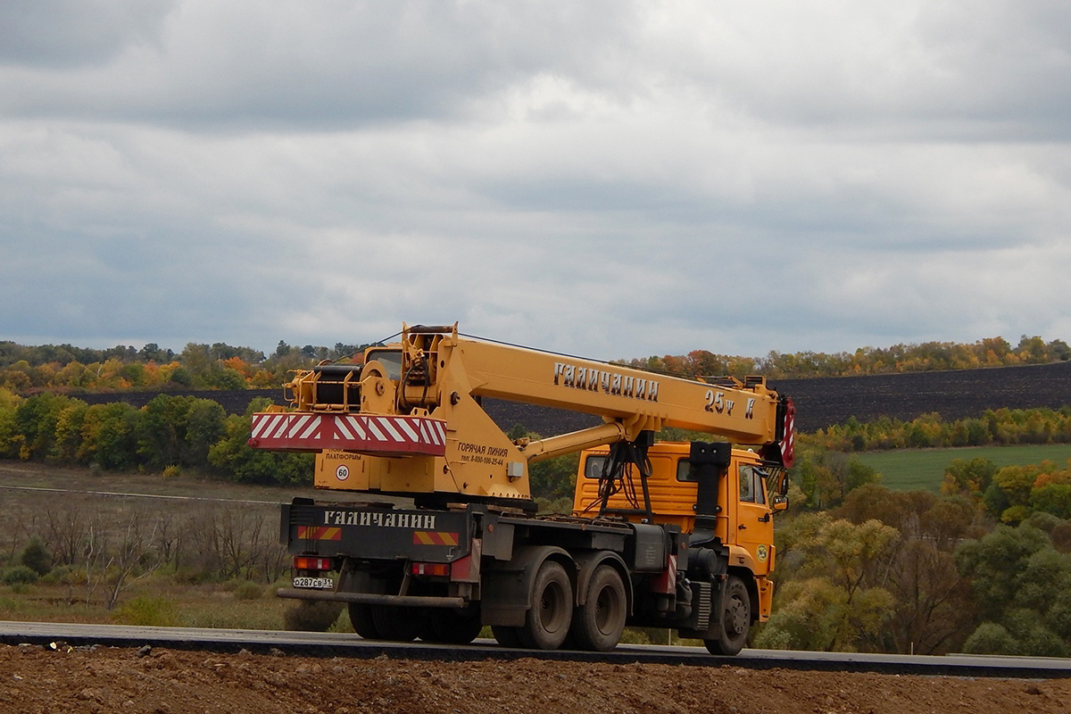 Белгородская область, № О 287 СВ 31 — КамАЗ-65115-A4(23)