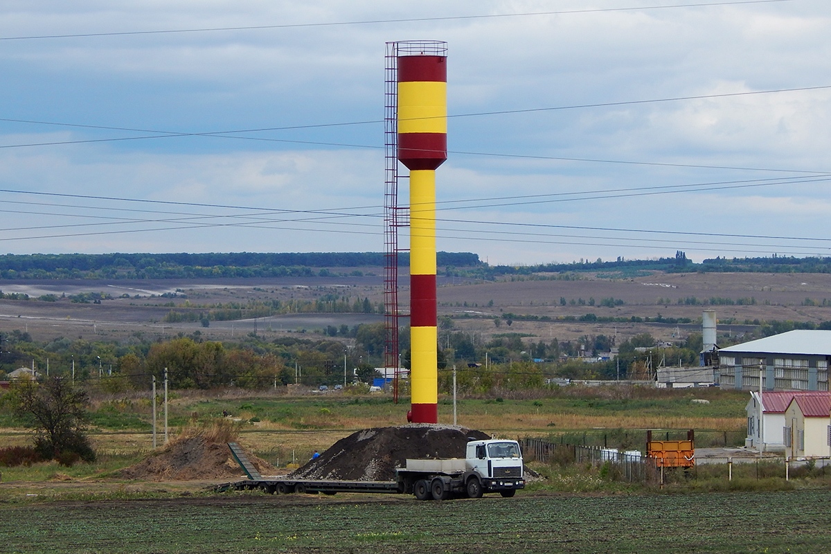 Белгородская область, № Р 251 УС 31 — МАЗ-6422A8