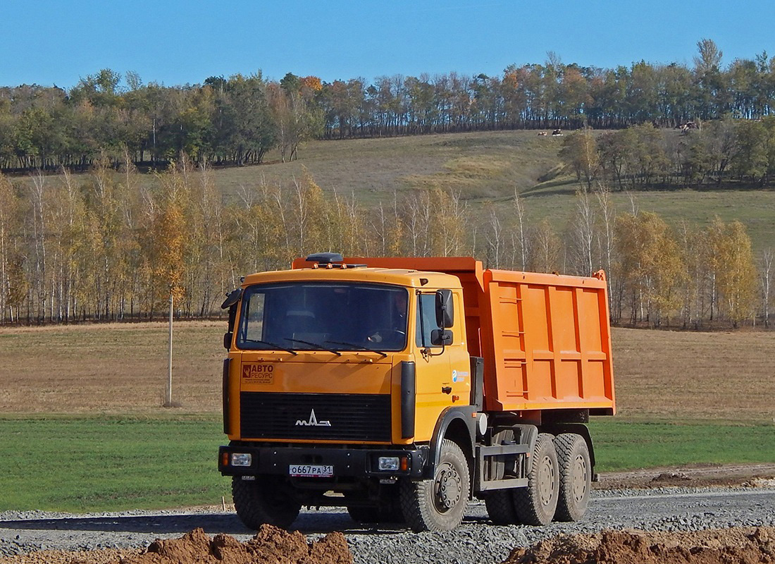 Белгородская область, № О 667 РА 31 — МАЗ-5516X5