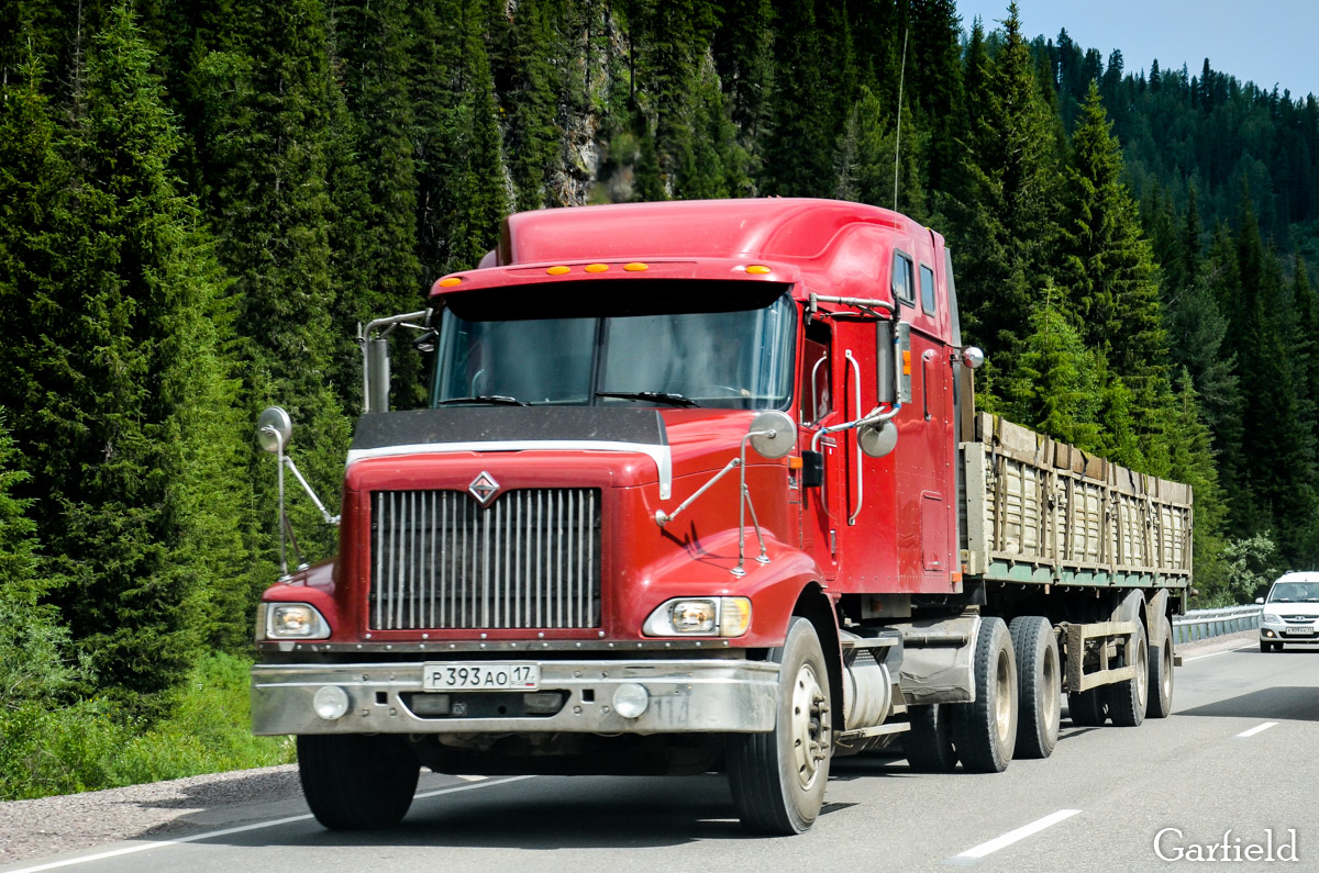 Тува, № Р 393 АО 17 — International 9400