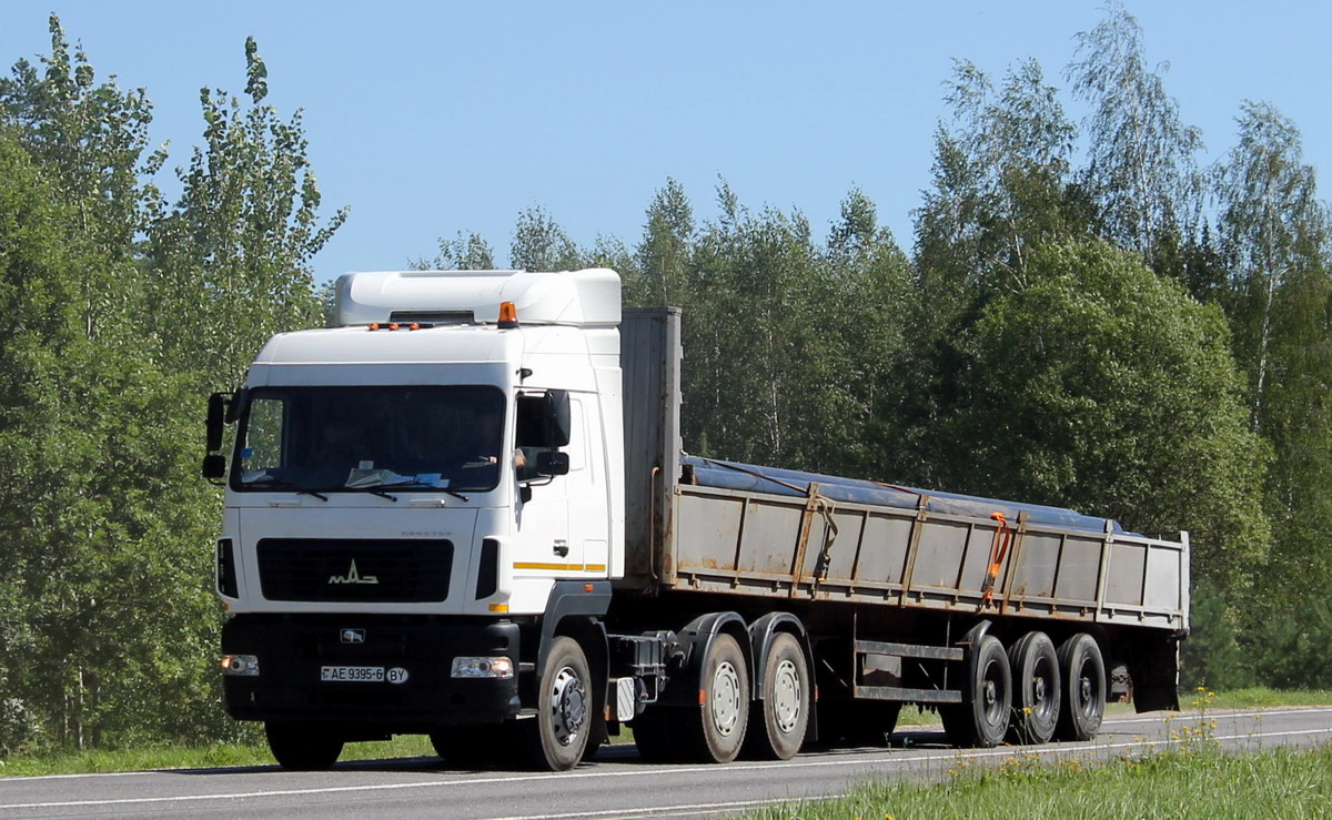 Могилёвская область, № АЕ 9395-6 — МАЗ-6430B9