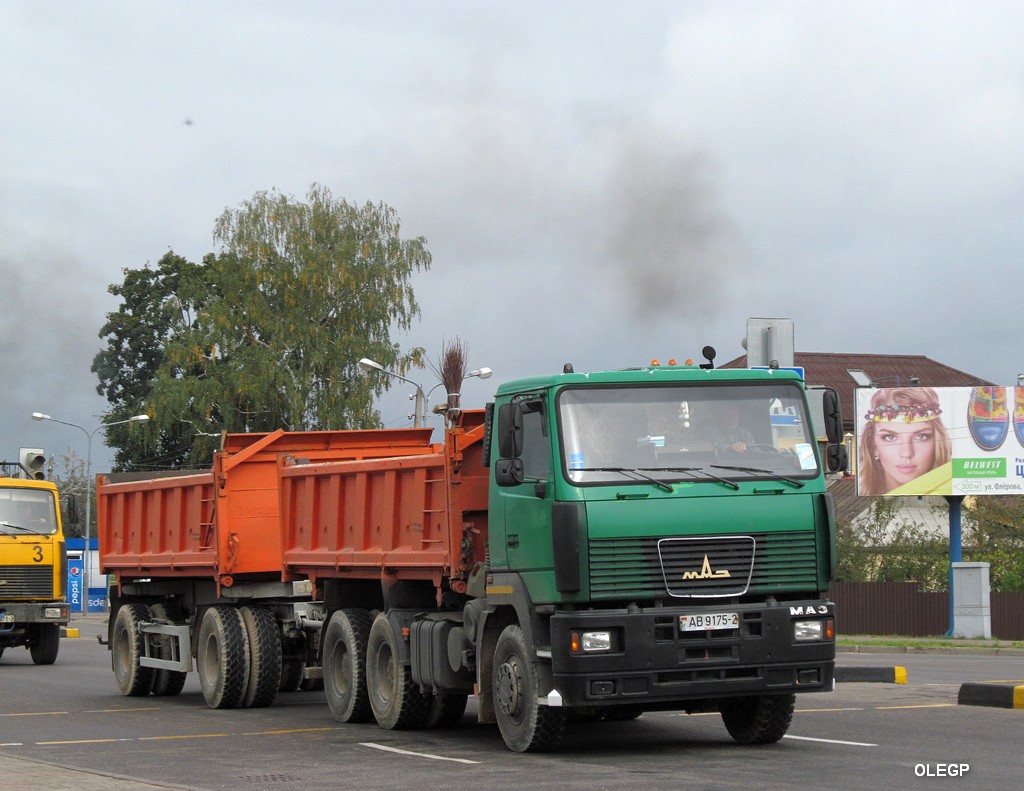 Витебская область, № АВ 9175-2 — МАЗ-6501 (общая модель)