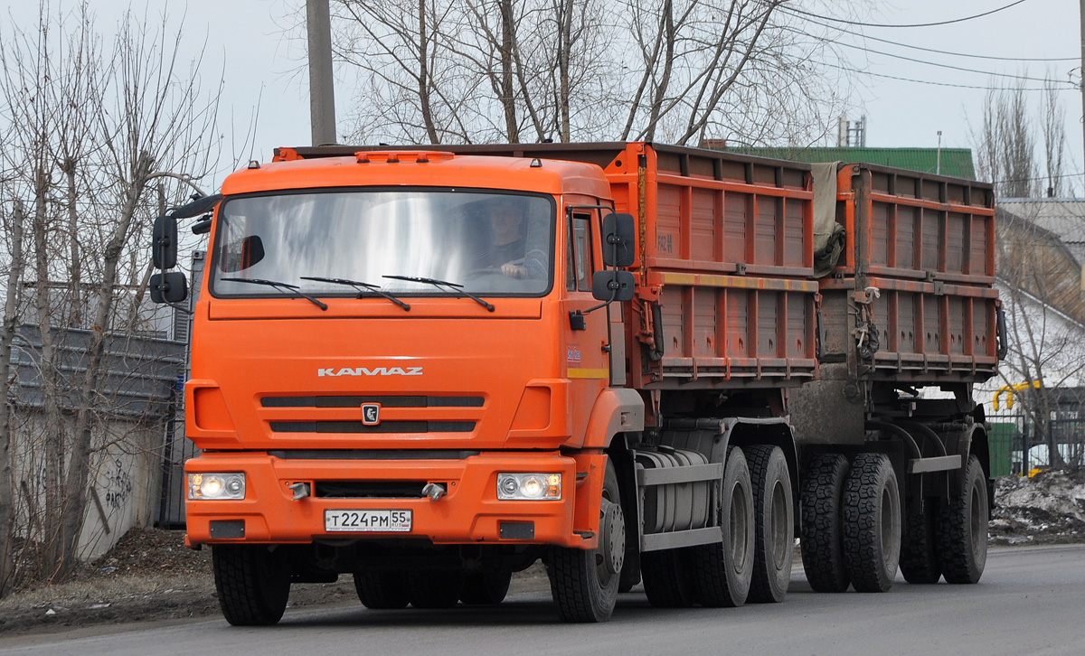 Омская область, № Т 224 РМ 55 — КамАЗ-65115-L4(19)