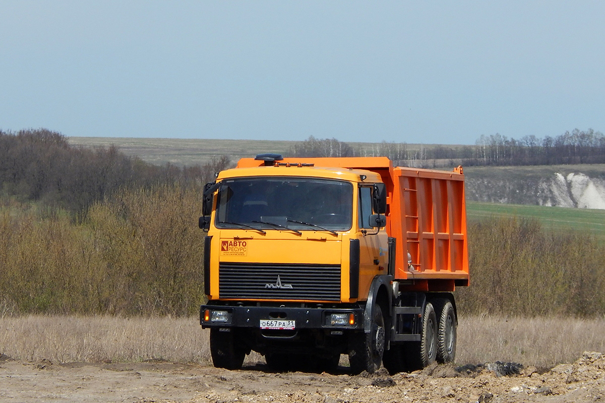 Белгородская область, № О 667 РА 31 — МАЗ-5516X5
