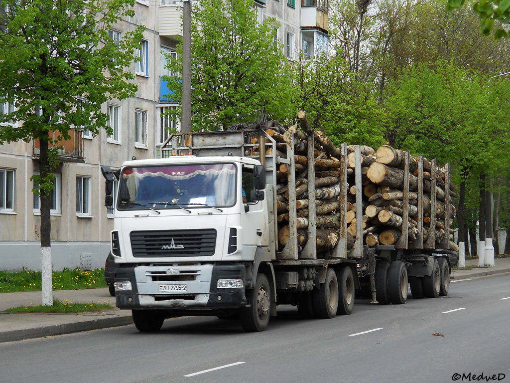 Витебская область, № АІ 7795-2 — МАЗ-6312B9
