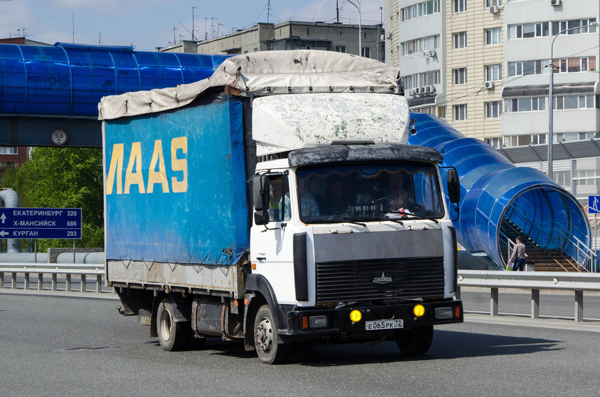 Тюменская область, № Е 065 РК 72 — МАЗ-437041
