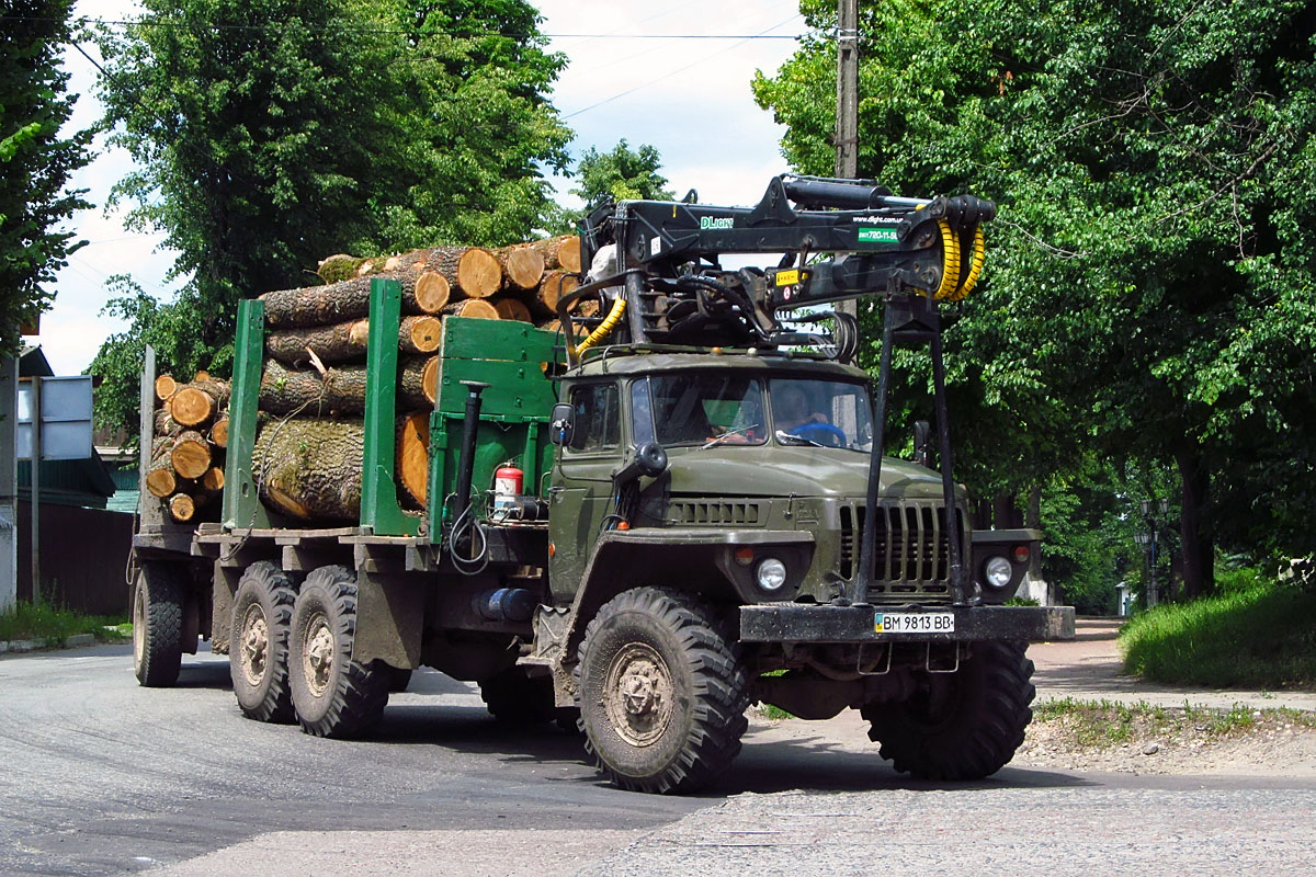 Сумская область, № ВМ 9813 ВВ — Урал-4320 / 5557 (общая модель)