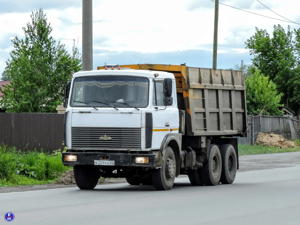 Курганская область, № К 229 КА 45 — МАЗ-551605