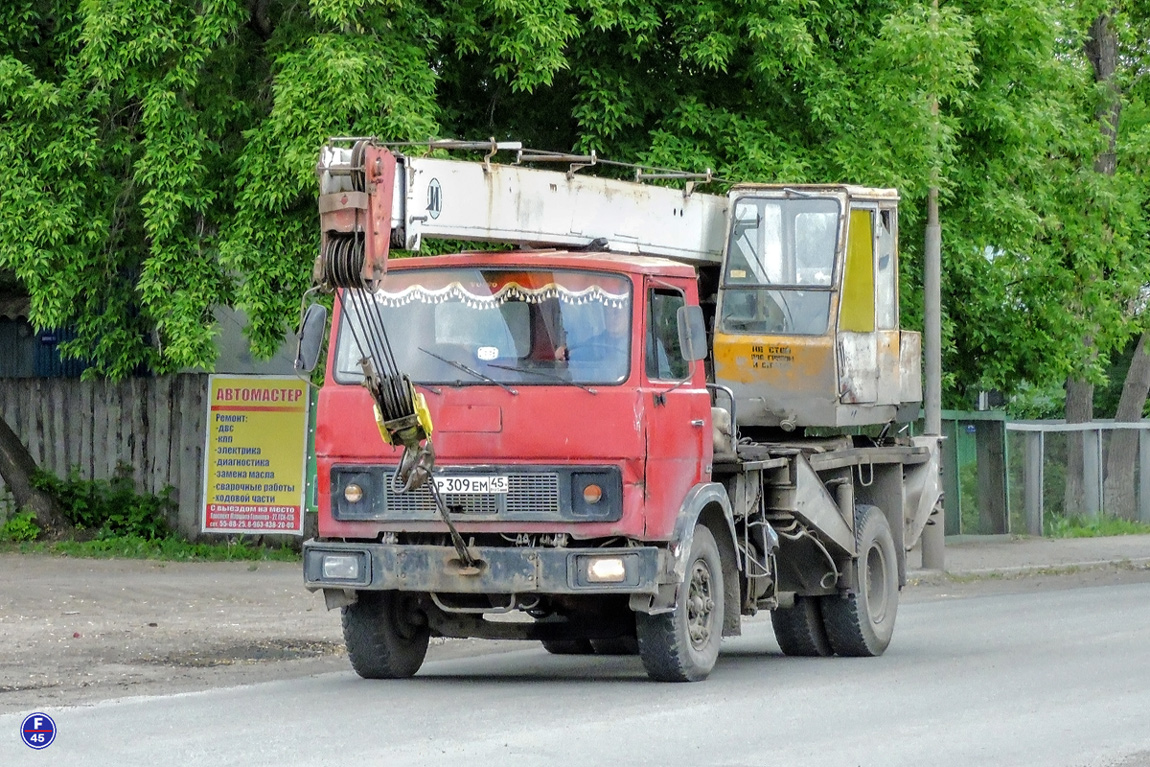 Курганская область, № Р 309 ЕМ 45 — МАЗ-53371
