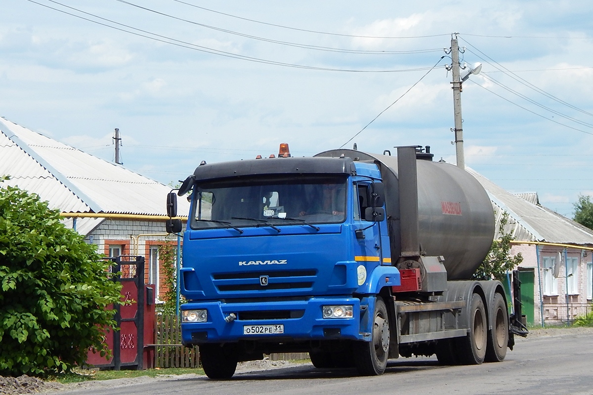 Белгородская область, № О 502 РЕ 31 — КамАЗ-65117-L4(19)