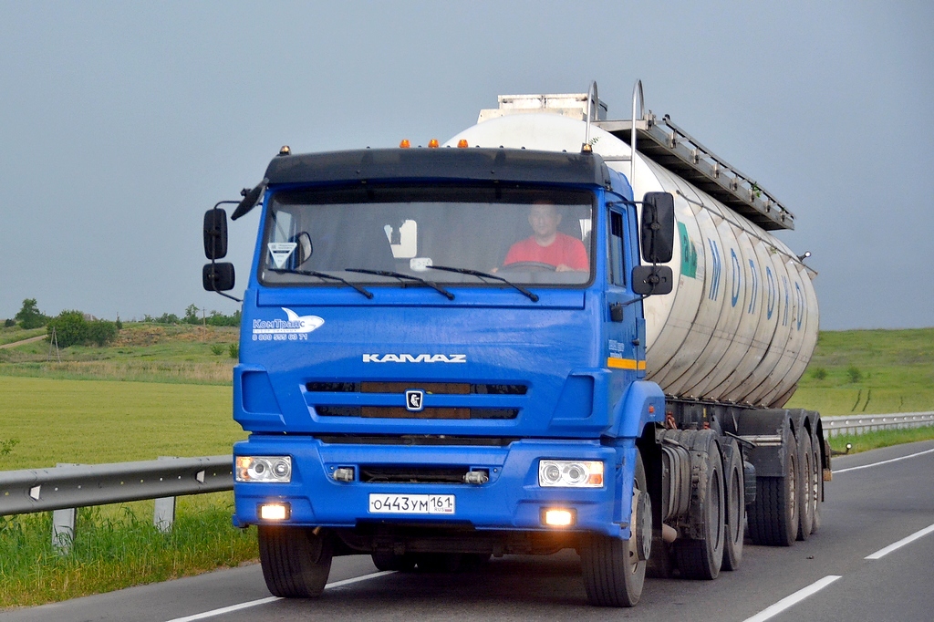Ростовская область, № О 443 УМ 161 — КамАЗ-65116-A4(23)
