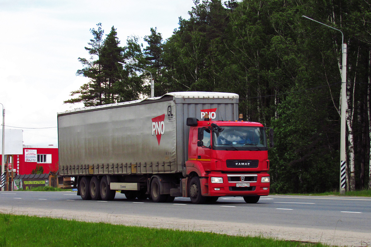 Московская область, № С 658 НС 750 — КамАЗ-5490-S5(87)