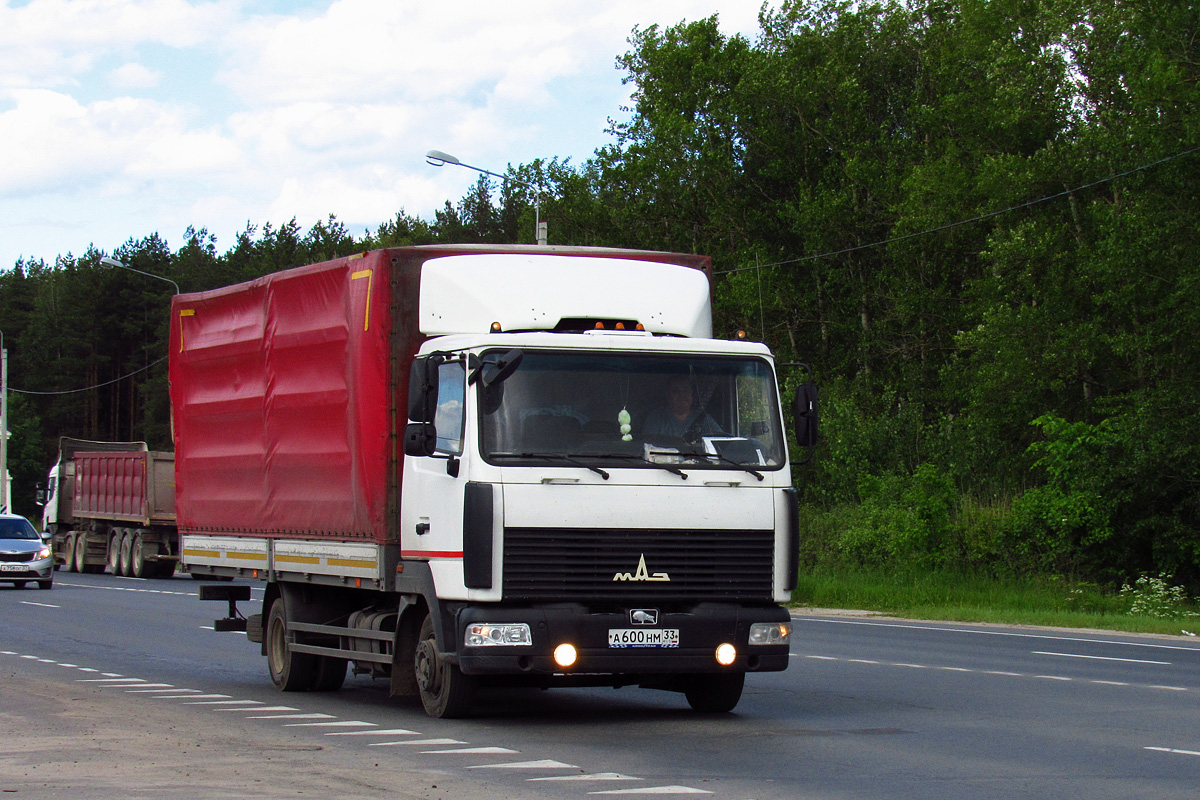 Владимирская область, № А 600 НМ 33 — МАЗ-437143