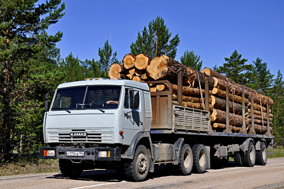 Новосибирская область, № С 173 СВ 154 — КамАЗ-54115 [541150]
