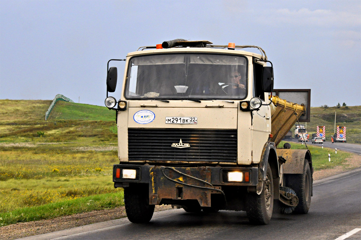 Алтайский край, № М 291 ВК 22 — МАЗ-5337 [533700]