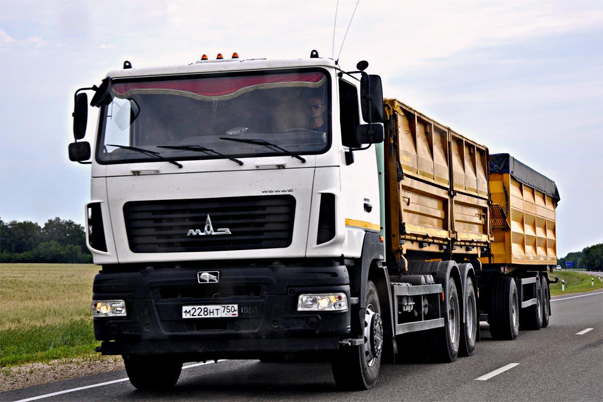 Московская область, № М 228 НТ 750 — МАЗ-6501B9