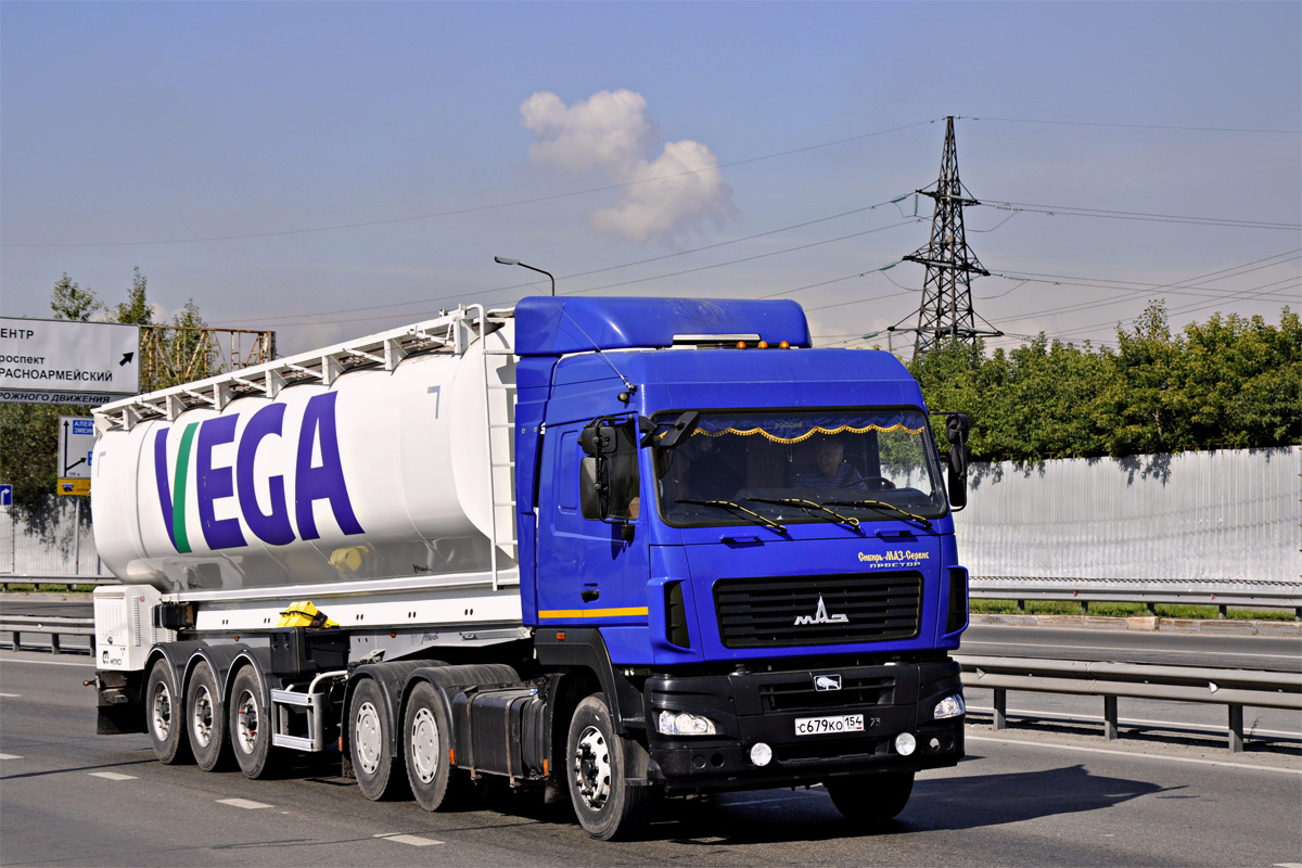 Новосибирская область, № С 679 КО 154 — МАЗ-643019