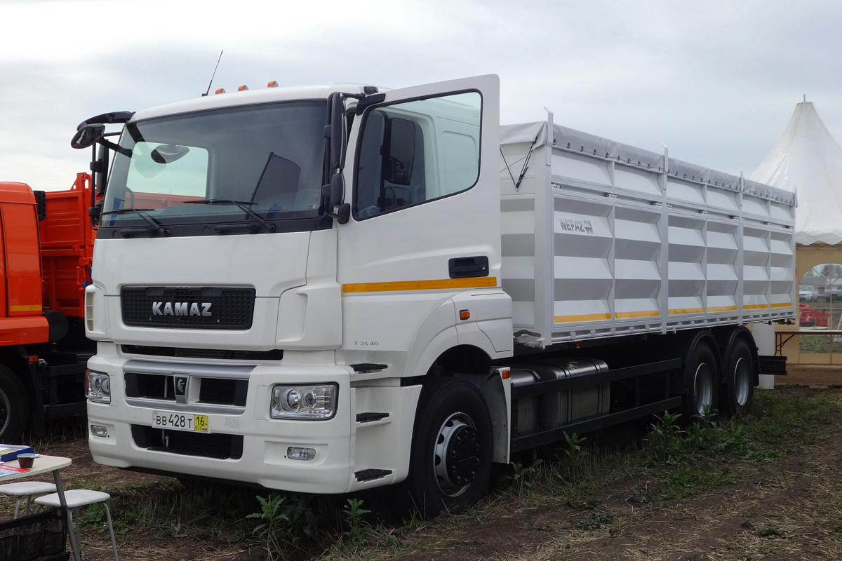 Татарстан, № ВВ 428 Т 16 — КамАЗ-65207-S5(87)