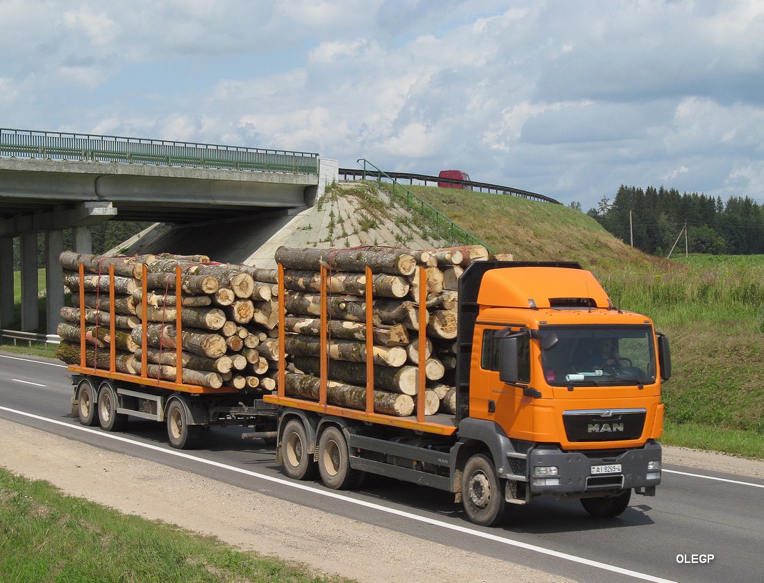 Гродненская область, № АІ 8293-4 — MAN TGS 33.440