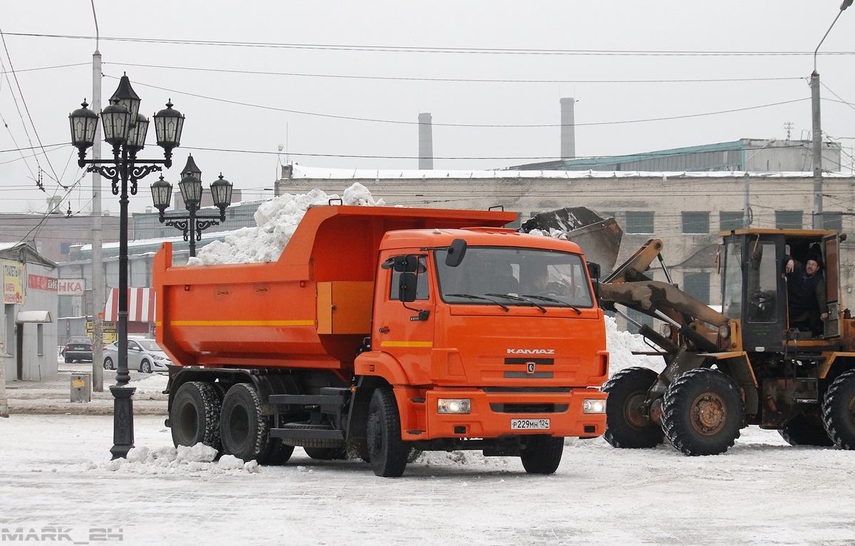Красноярский край, № Р 229 МН 124 — КамАЗ-65115-N3(78)