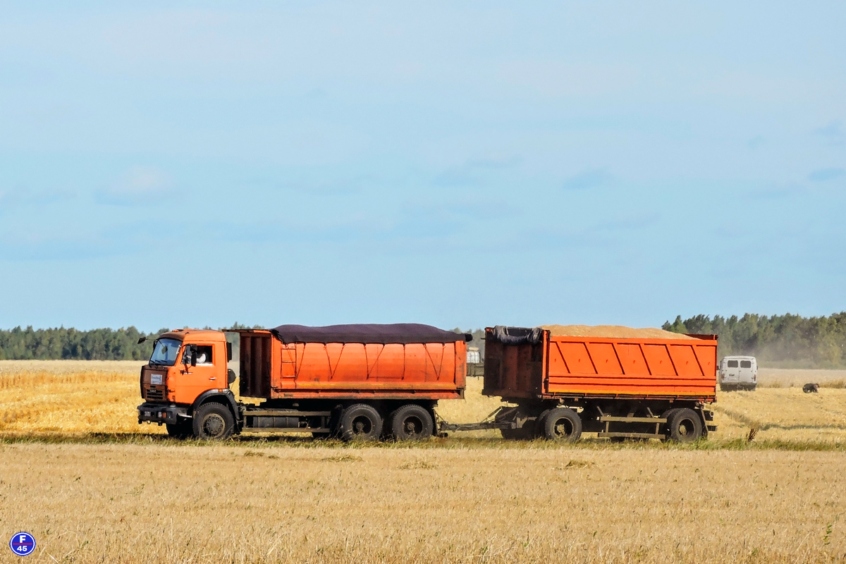 Курганская область, № М 212 ЕС 45 — КамАЗ-65115-D3(97)