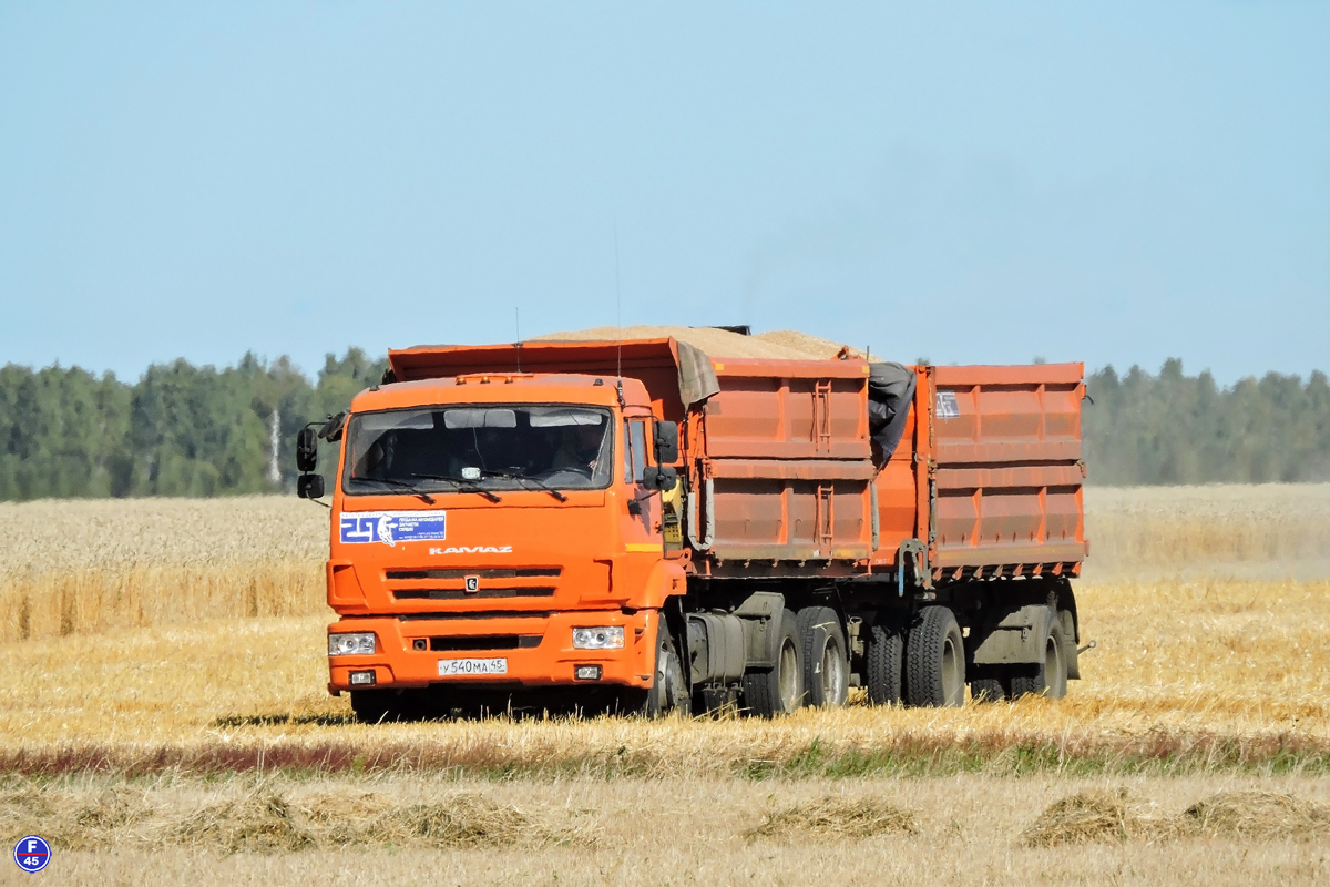 Курганская область, № У 540 МА 45 — КамАЗ-65115-L4(19)