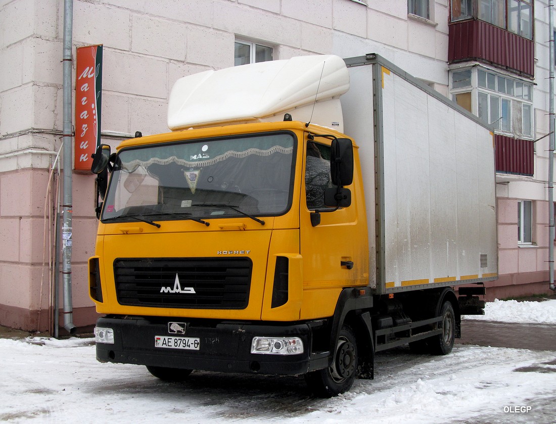 Могилёвская область, № АЕ 8794-6 — МАЗ-4371P2