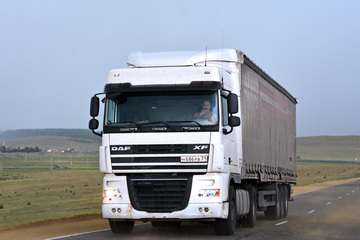 Белгородская область, № Н 686 РВ 31 — DAF XF105 FT