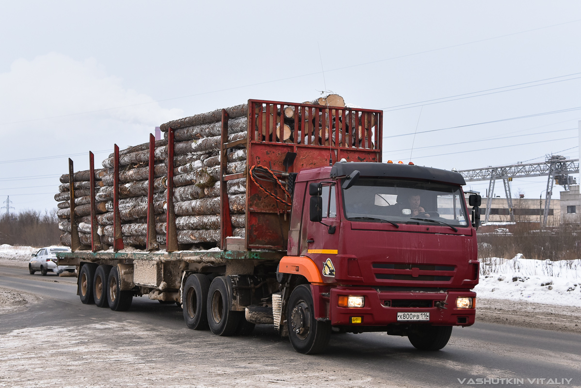 Архангельская область, № Х 800 РВ 116 — КамАЗ-65116-A4(23)