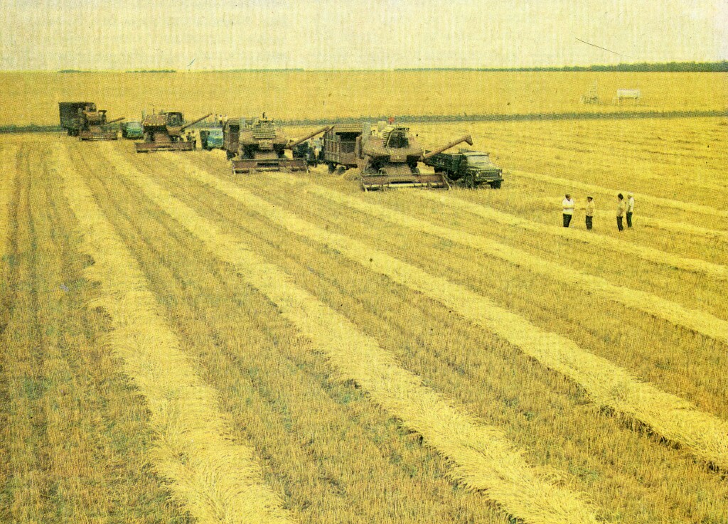 Исторические фотографии (до 2000 года) (Краснодарский край)