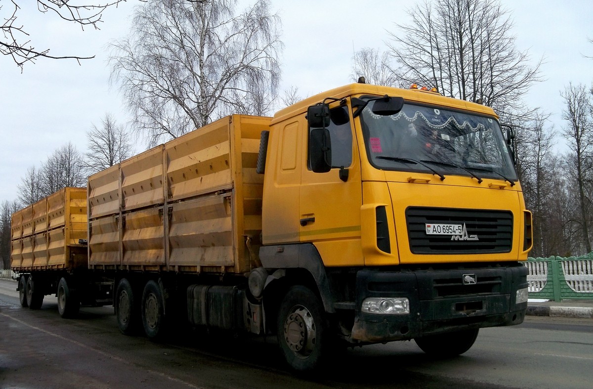 Минская область, № АО 6954-5 — МАЗ-6501 (общая модель)